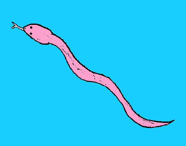 Serpiente venenosa