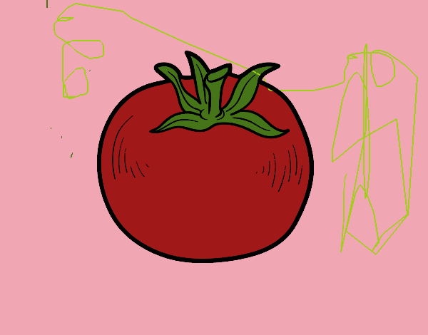 TOMATE PODRIDO