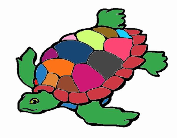 Tortuga