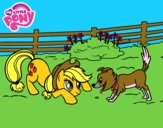 Applejack y Winona