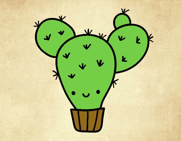 Cactus nopal