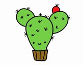 Cactus nopal