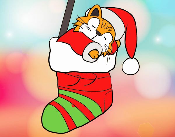 Dibujo de Gatito durmiendo en un calcetín de Navidad pintado por en   el día 01-12-21 a las 21:54:38. Imprime, pinta o colorea tus propios dibujos !