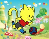 Gato jugando a fútbol