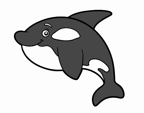 Dibujo de La orca pintado por en  el día 03-12-21 a las  13:45:55. Imprime, pinta o colorea tus propios dibujos!