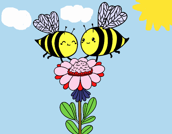 Pareja de abejas