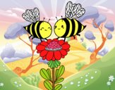 Pareja de abejas