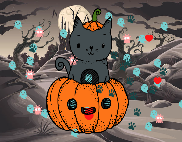 Un gatito de Halloween