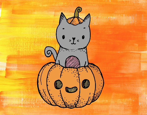 Un gatito de Halloween