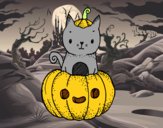 Un gatito de Halloween