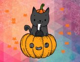 Un gatito de Halloween