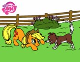 Applejack y Winona