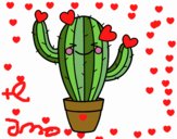 Cactus corazón