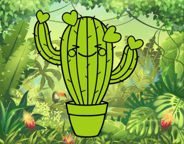 Cactus corazón