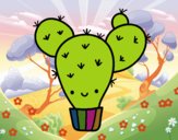 Cactus nopal