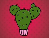 Cactus nopal