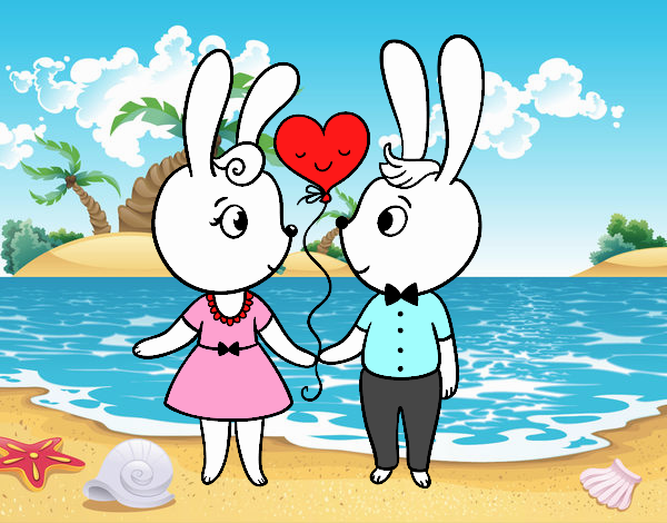 conejos casandose en la playa