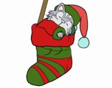 Gatito durmiendo en un calcetín de Navidad