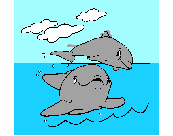 Madre e hijo delfín