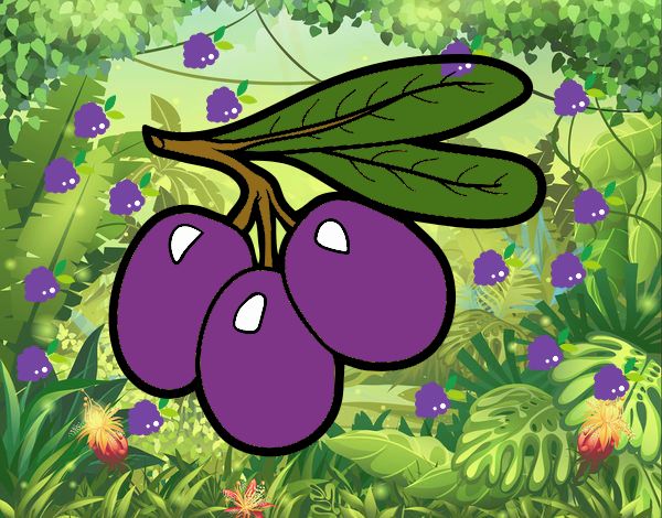 Uvitas! 🍇🍇