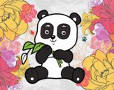 Un oso panda