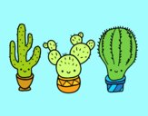 3 mini cactus