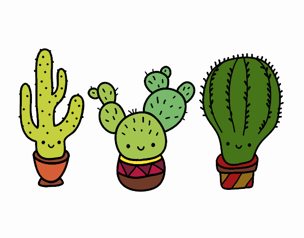 ''minis cactus''