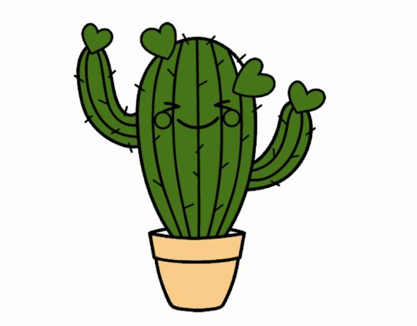 Cactus corazón