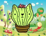 Cactus gato