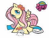 Fluttershy