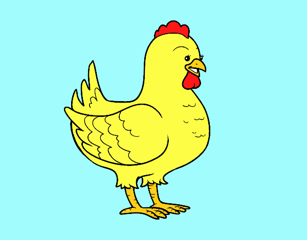 Gallina de una granja