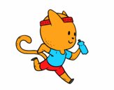 Gato runner