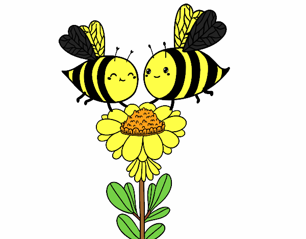 Pareja de abejas