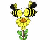 Pareja de abejas