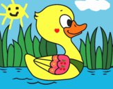 Patito de río