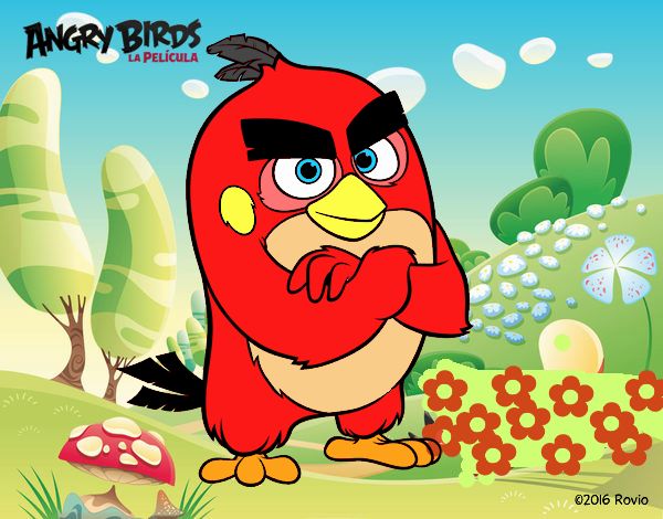 Red de Angry Birds