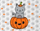 Un gatito de Halloween