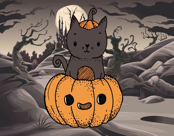 Un gatito de Halloween