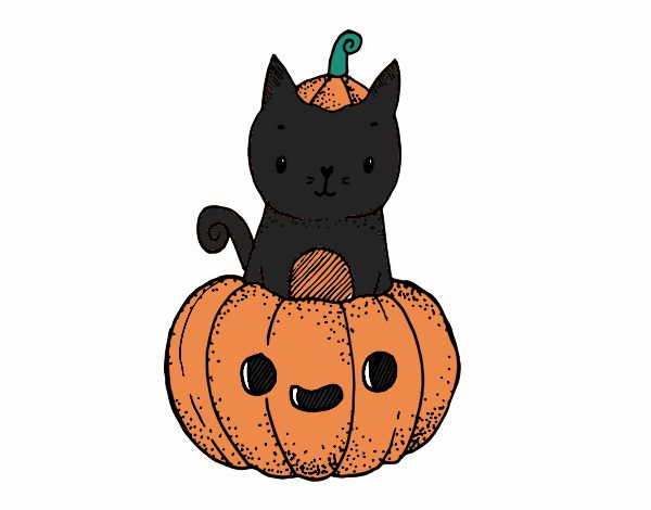 Gato de Halloween