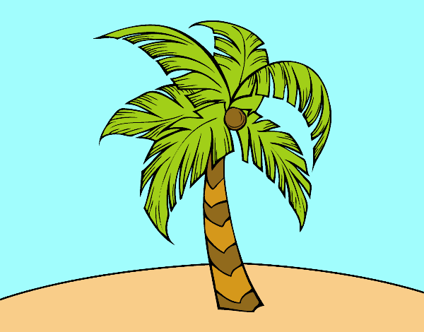 Una palmera