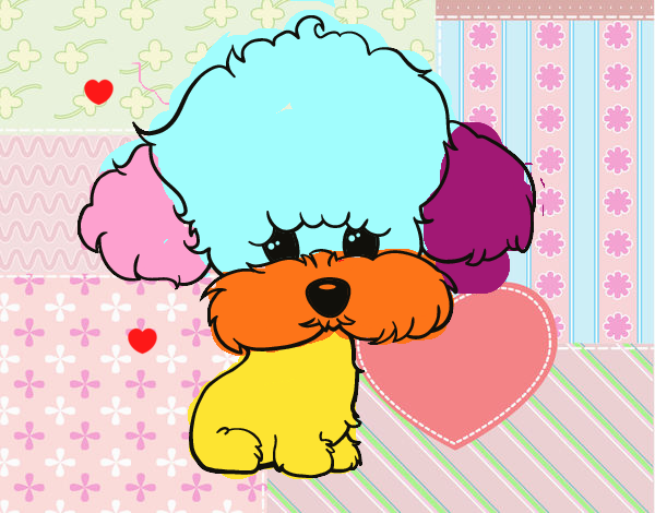 Cachorro de poodle