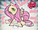 Fluttershy