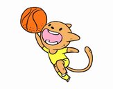 Gato jugando a baloncesto