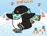 Pingüino patinando sobre hielo