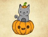 Un gatito de Halloween