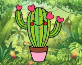 Cactus corazón