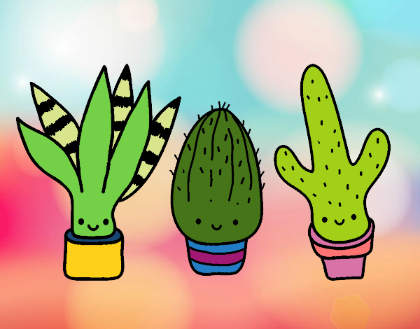 cactuts