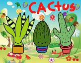 Mini cactus