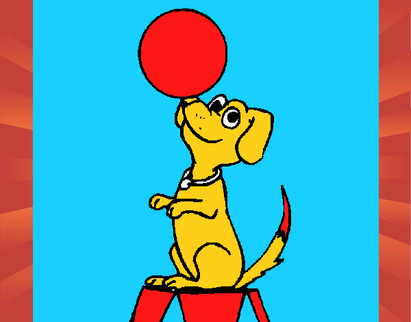 Perro de circo