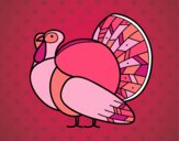 Un pavo